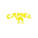 camel cigarettes